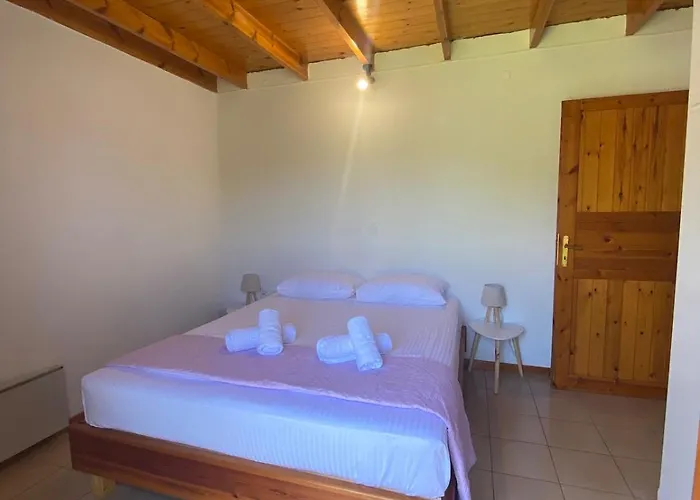 Johnny Jo * 艾伊翁