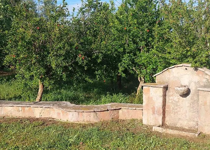 Johnny Jo Βίλα Αίγιο